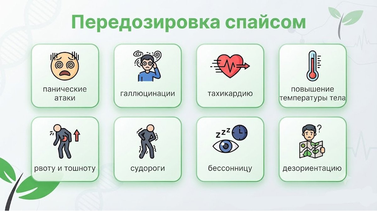 Инфографика: симптомы передозировки спайсом, включая панические атаки, галлюцинации, тахикардию и судороги.